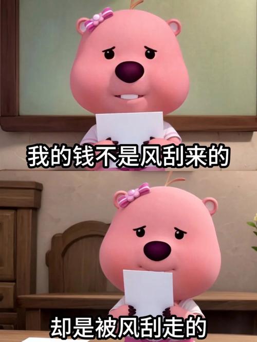 三、选购实战——我的钱不是大风刮来的