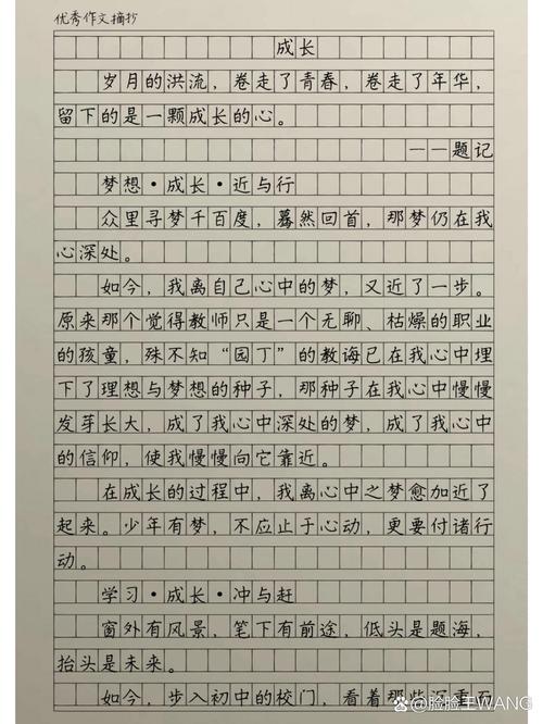 小学学生成长档案袋内手写作文草稿页