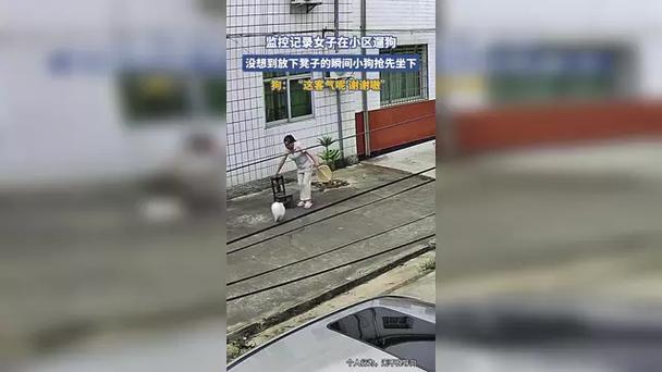 小区门口遛狗冲突监控实拍画面