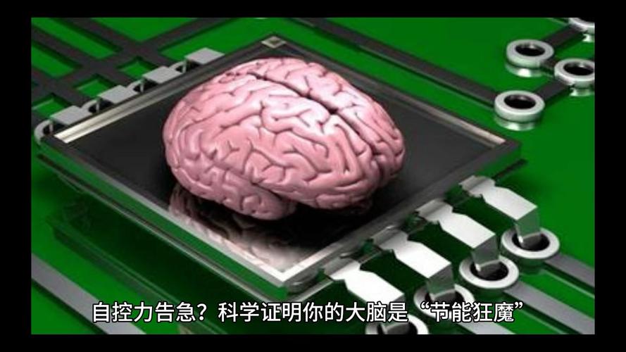 你的大脑就是个节能狂魔 💡