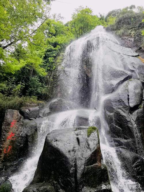 九华天池旁龙池深潭水底附着的石耳群落