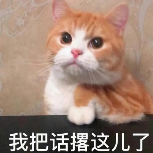 有些话必须撂这儿