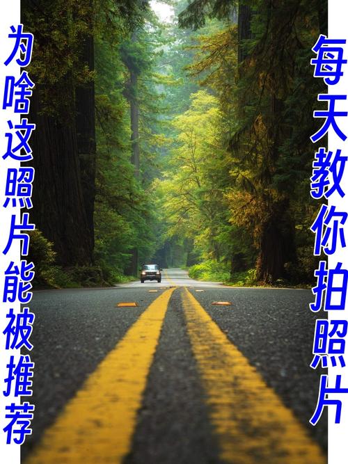 构图美学：公路大片的“潜规则”