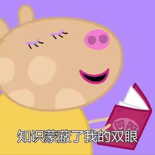 新热闹背后，藏着老问题
