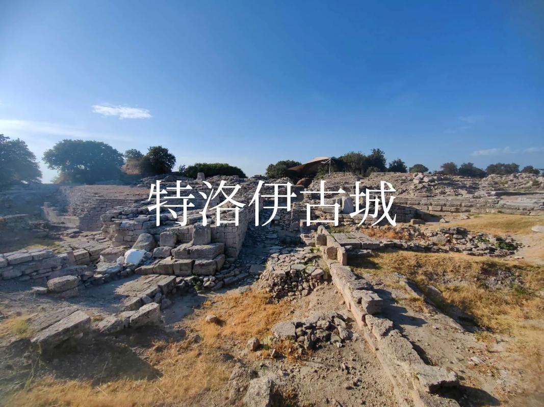 传说:当历史被记忆篡改,我们还在相信什么-因为所以
