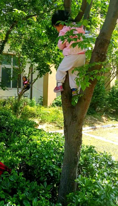 小学操场樟树下掉着碎花头绳
