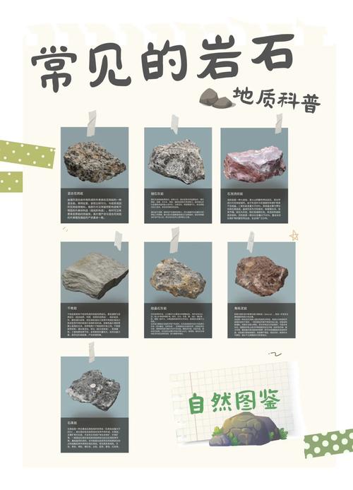 岩石分类三大类特征对比手绘观察卡
