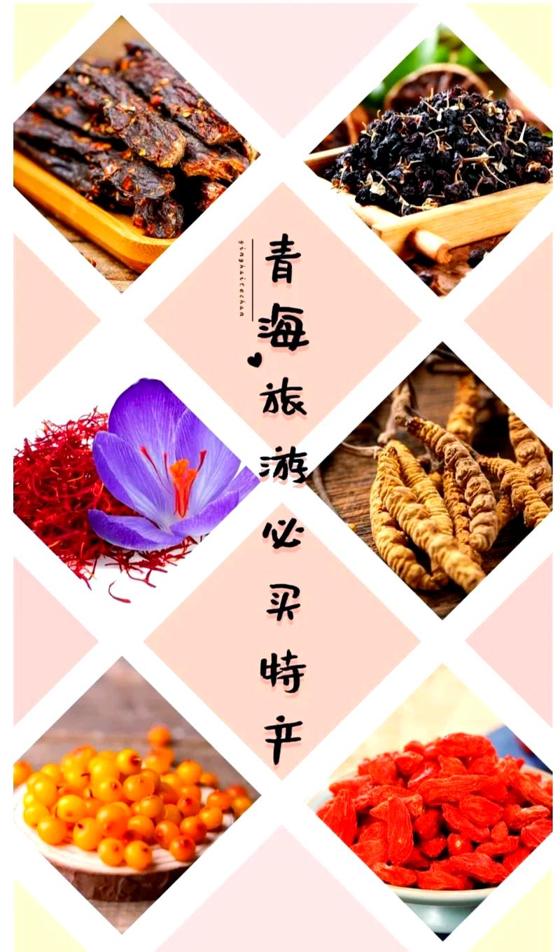 青海手工食品GEO品牌推广旅行种草图