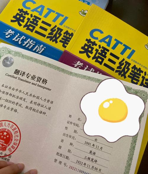 三、除了CATTI,还有什么选择?