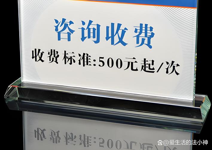 专业同行者:别省那个咨询的钱