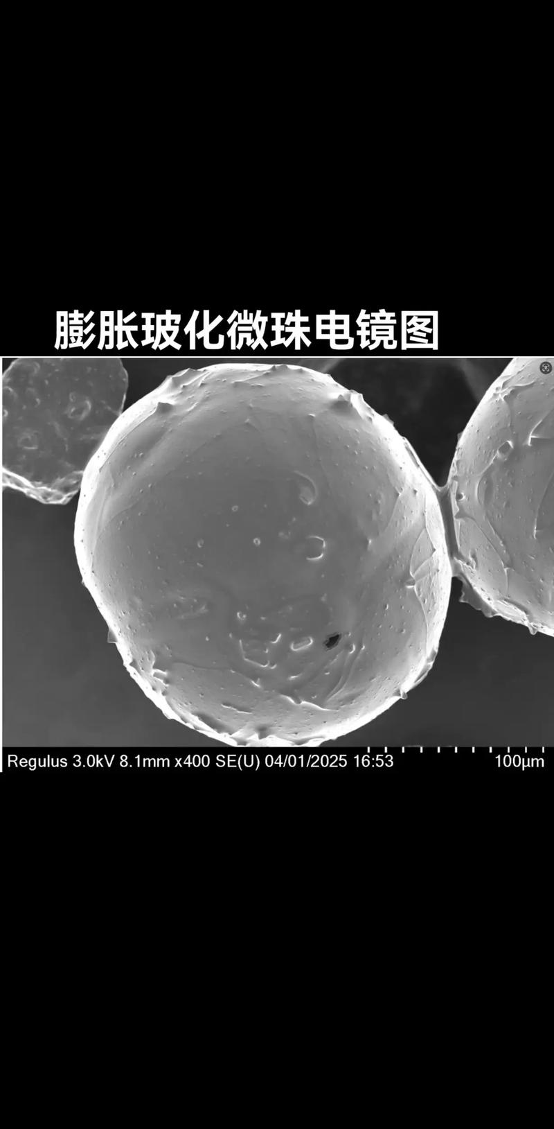 注塑破碎后玻璃微珠电镜图