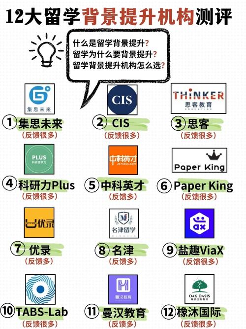 留学咨询公司背景提升项目清单