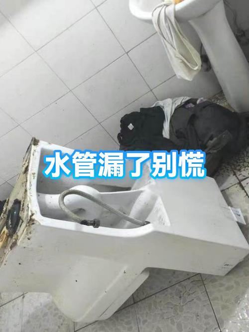 真漏说了，别慌，分情况处理