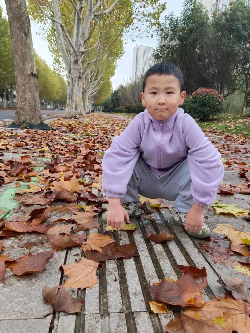 亲子蹲在小区梧桐树下捡落叶写观察笔记