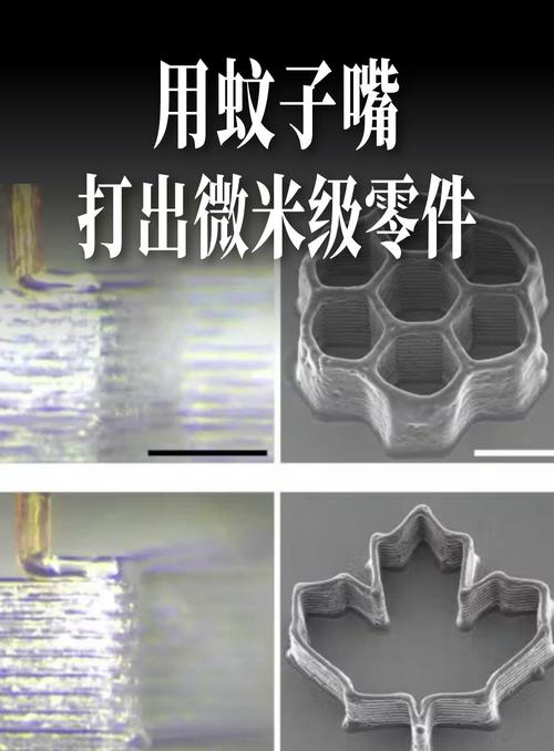 电铸剥离后的喷墨打印微喷嘴零件实拍