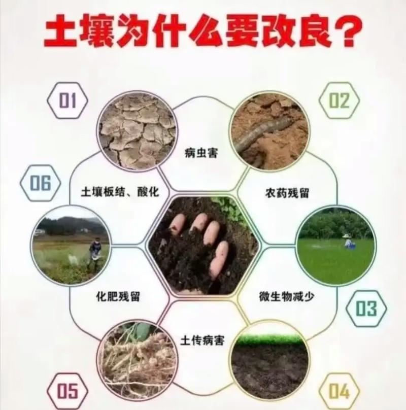 改肥调结构，旧土就能变肥宝
