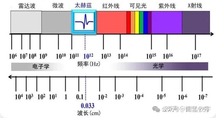 太赫兹通信信号传播损耗对比示意图