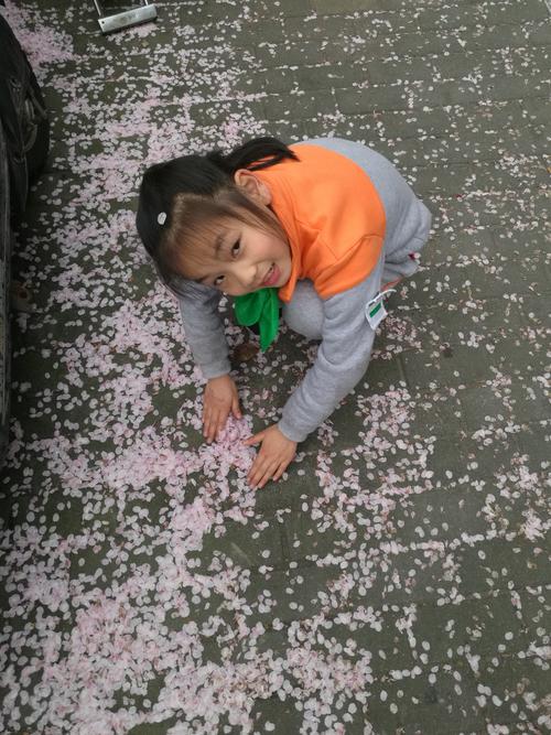 七岁小孩蹲在小区樱花树下数花苞