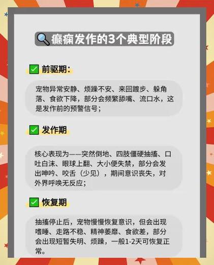 宠物癫痫发作现场安全防护布置图
