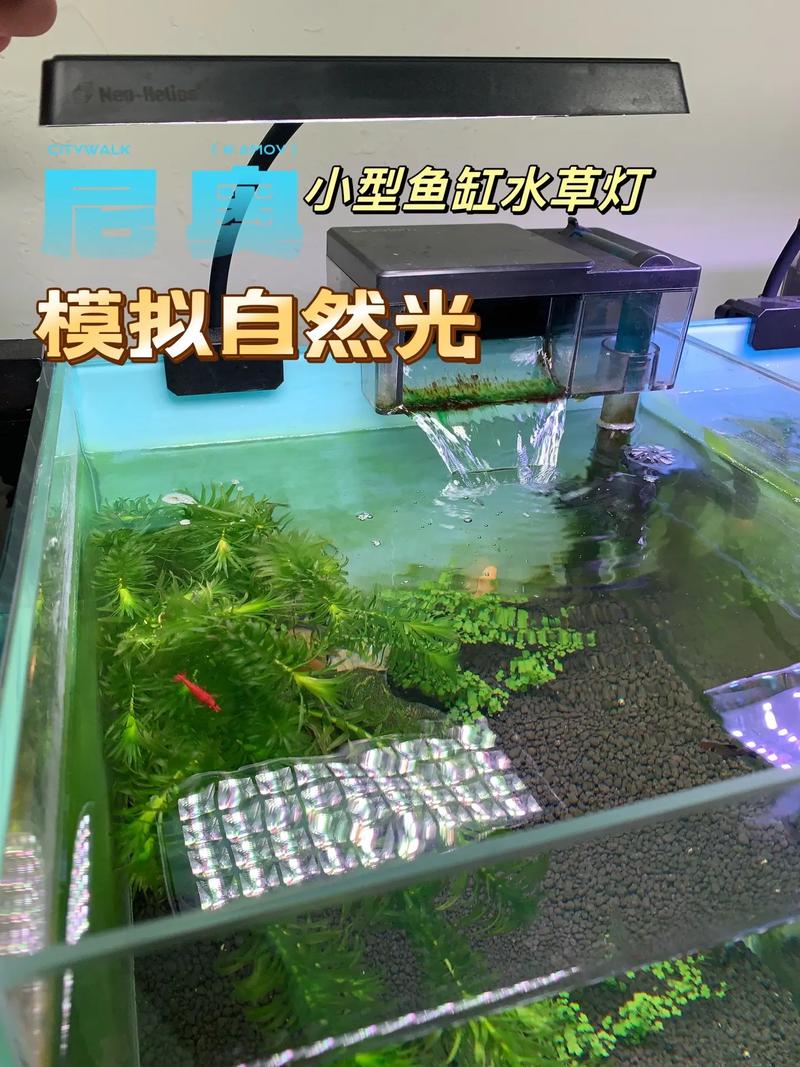 水草缸LED灯真实光谱对比
