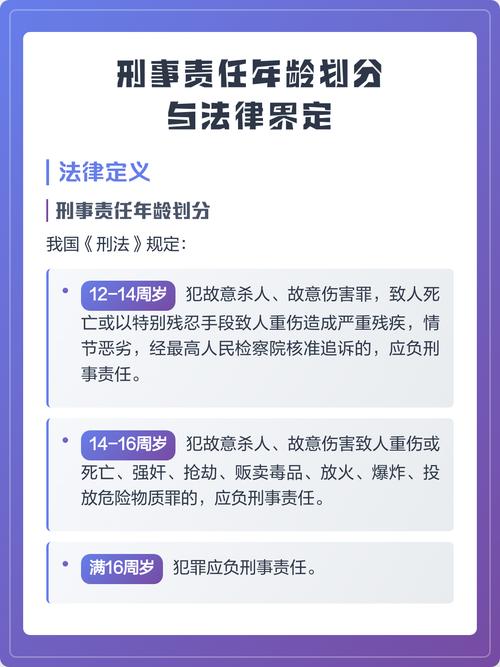 刑事责任人的法定界定