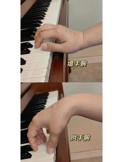 钢琴基本手型与错误手型对比图