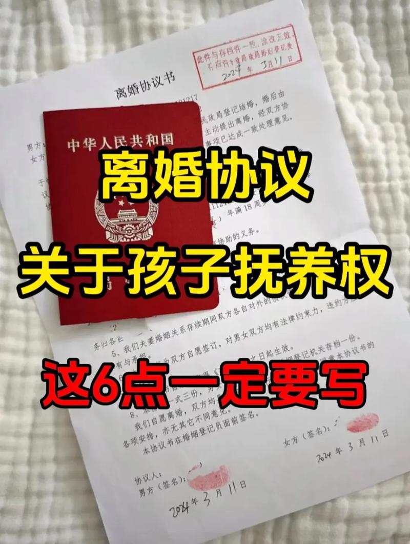 离婚子女抚养权律师咨询记录实景