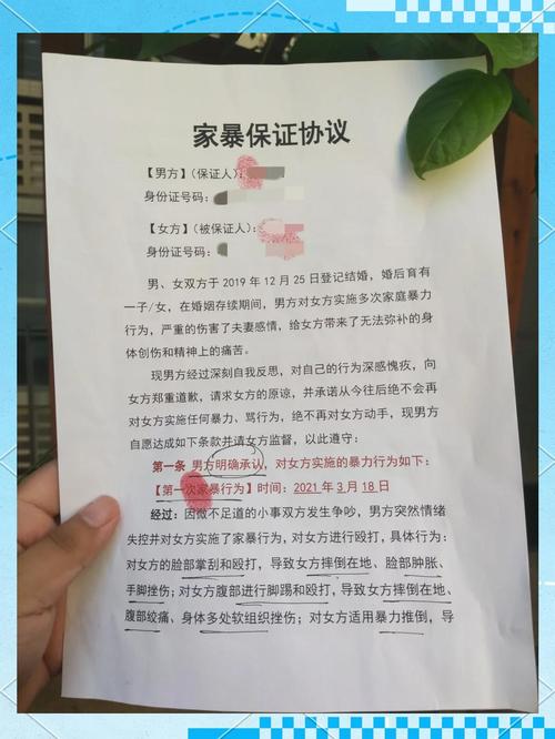 家庭暴力证据收集清单示意图