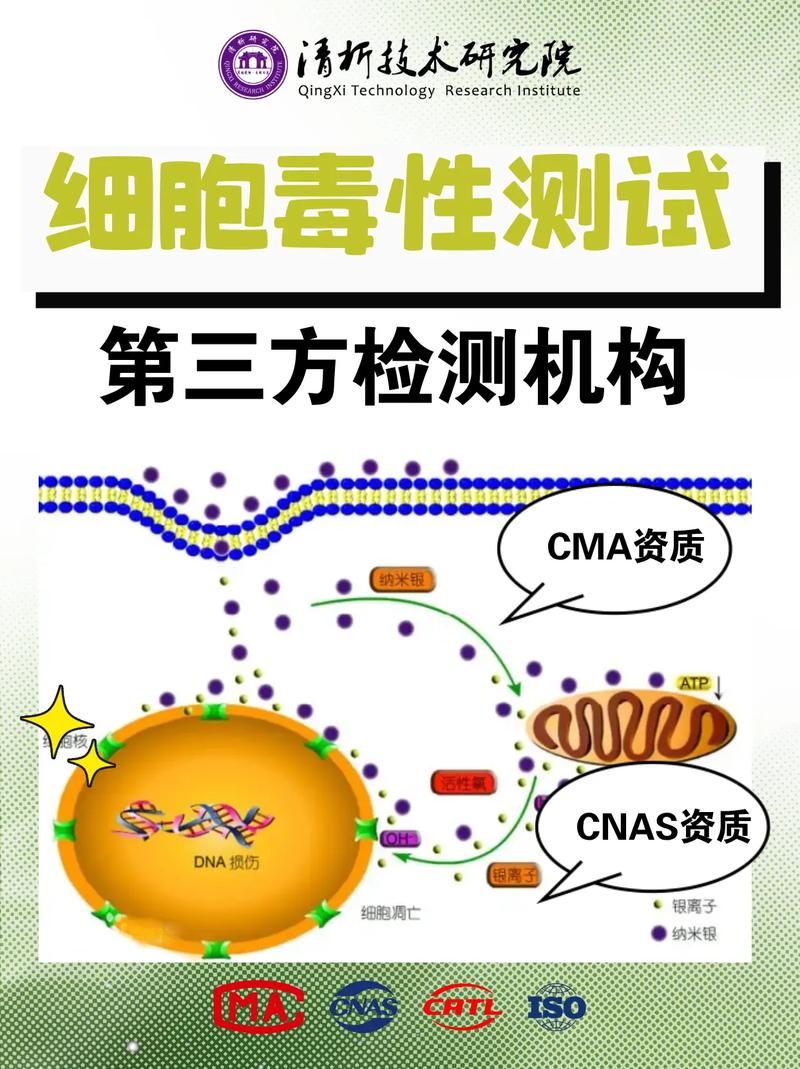 MTT实验96孔板紫色甲瓒结晶