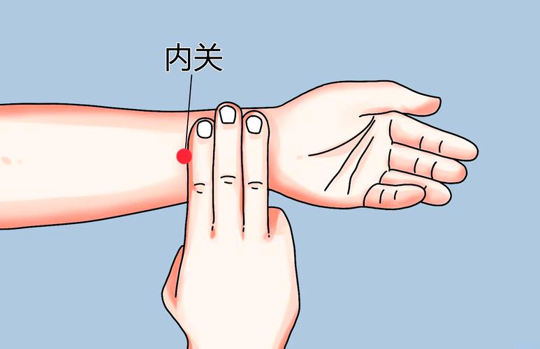 轮渡晕船缓解内关穴位置示意图