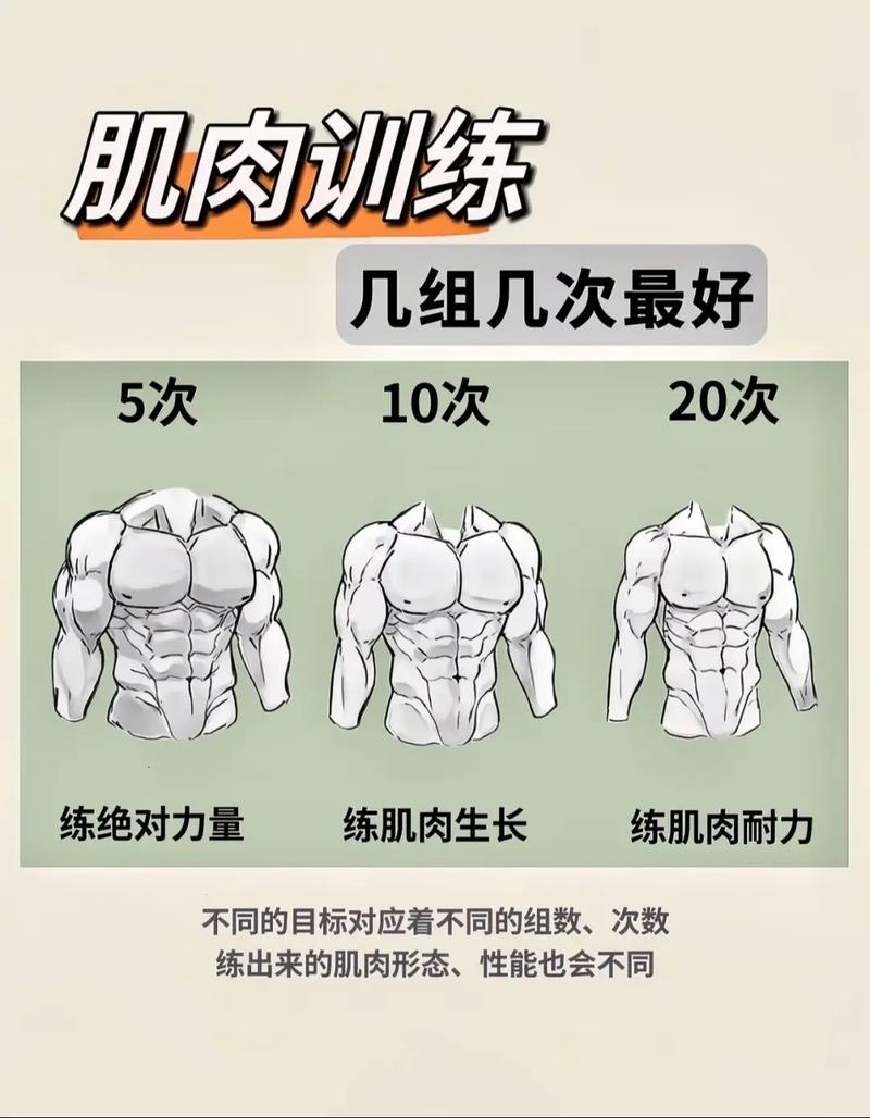 增肌训练重量次数对照表