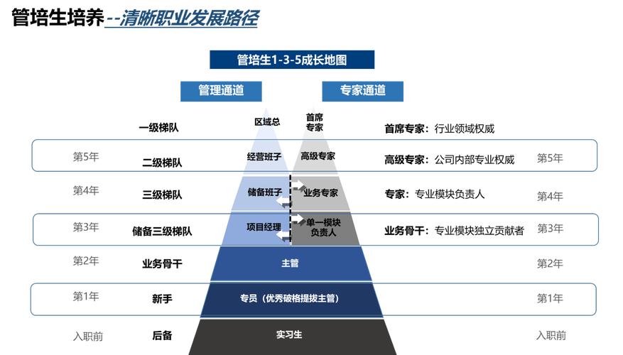 管培生轮岗培养路径图