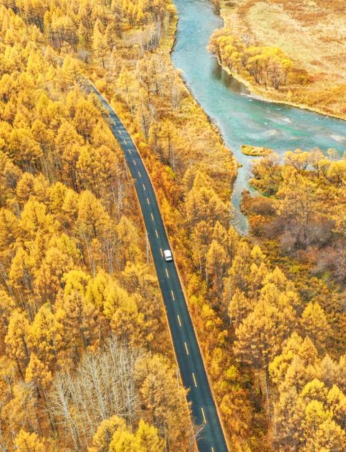 阿尔山国家森林公园秋季盘山公路景观
