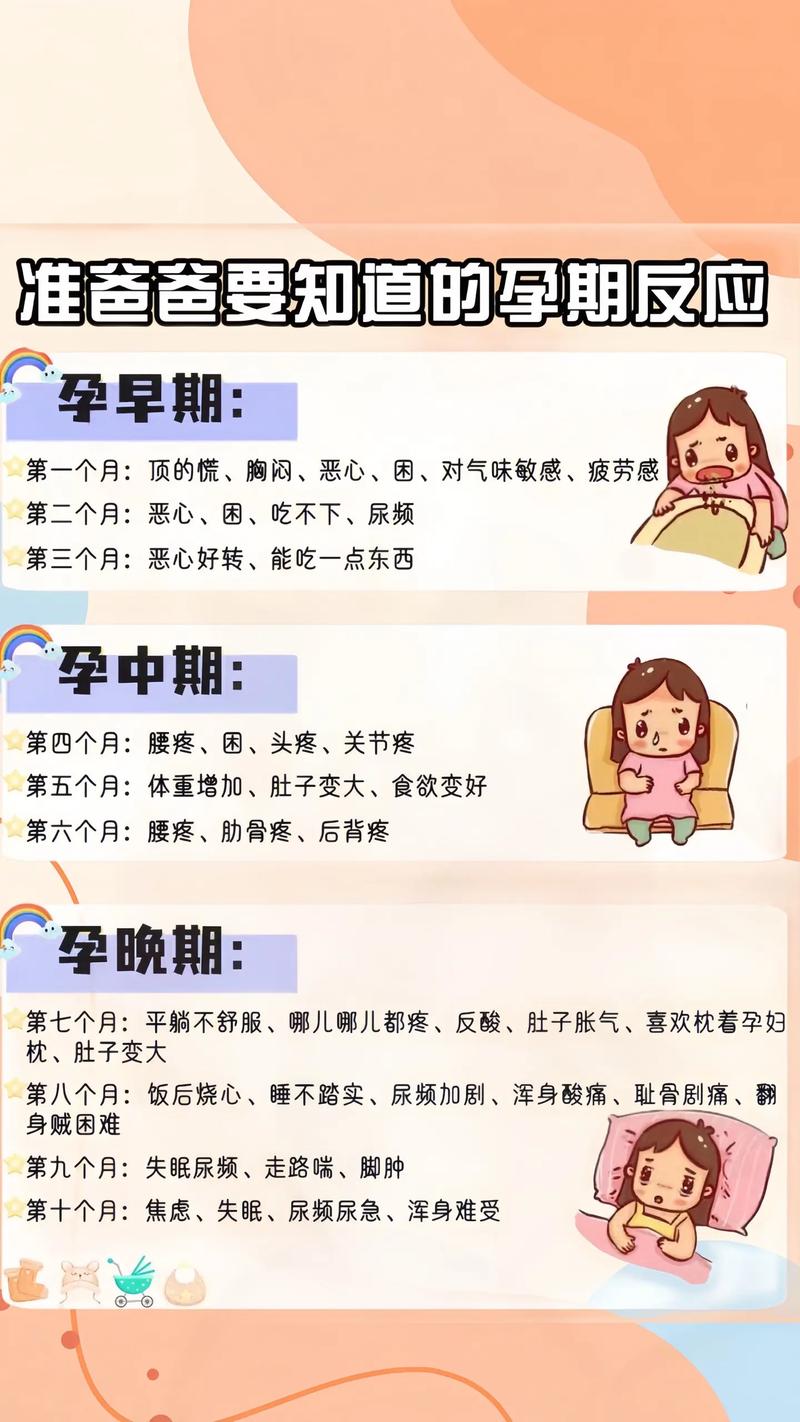 ✅ 孕早期:反人类设计般的妊娠反应,怎么扛过去?