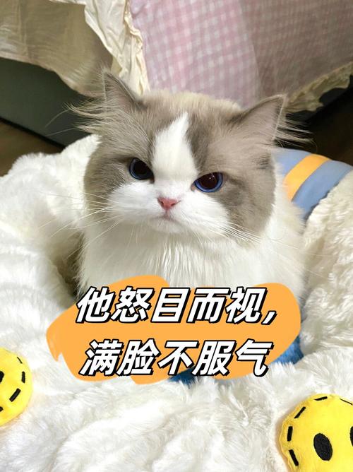 超声波的脾气:你摸不透它,它就给你颜色看