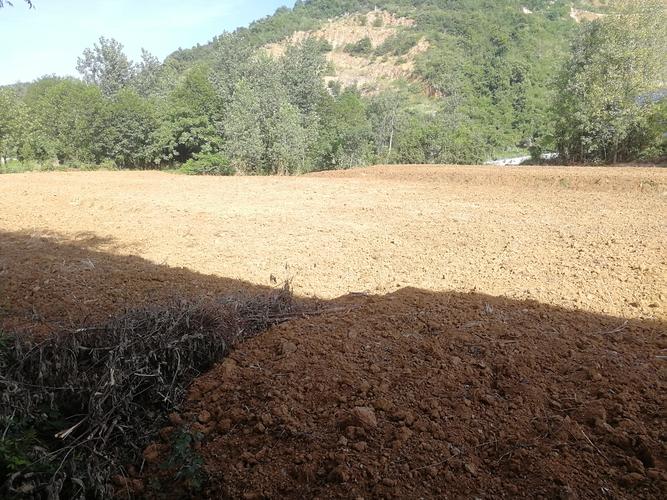 违规改变农业用途的耕地现场实拍