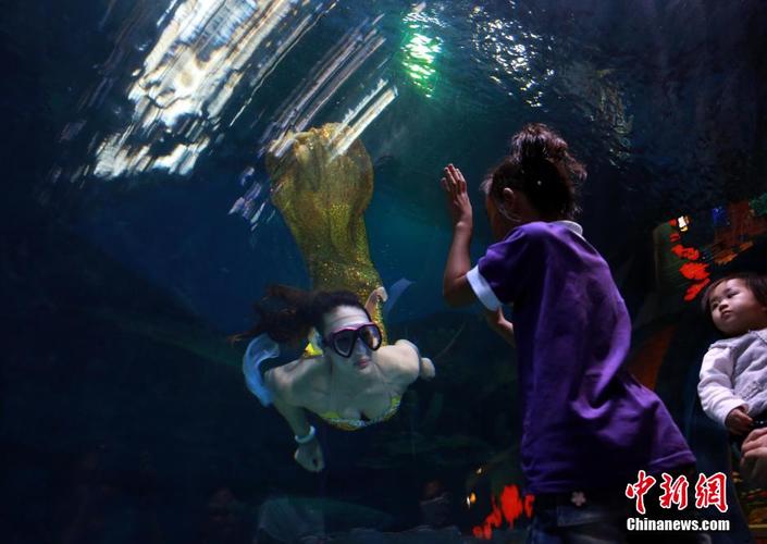 母女在水族馆选购鱼食温馨互动画面 自然光