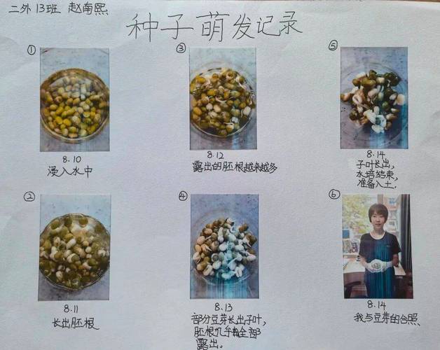 初中生物种子萌发实验考题常见坑点整理