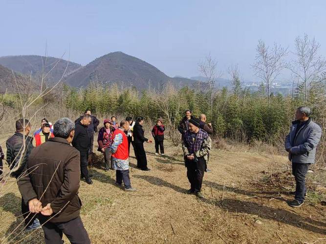 湖北南漳黄垭村盘山茶园公路