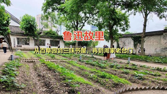 三、鲁迅故里:百草园的蝉鸣,是刻在骨子里的乡愁
