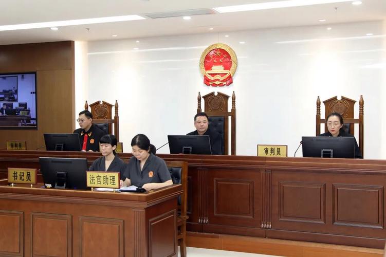 基层法院保险理赔纠纷庭审记录实拍