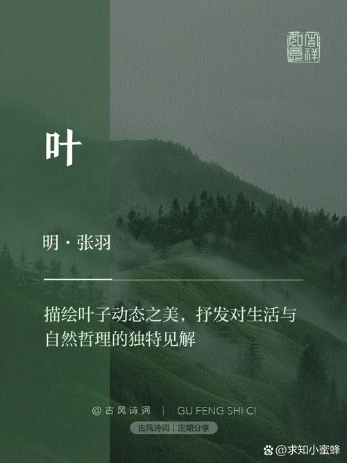 藏在叶子缝隙里的生活道理