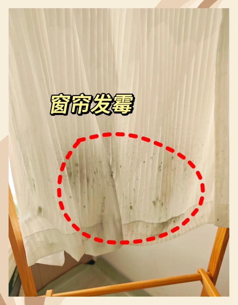 杭州出租屋绒布窗帘霉斑实拍