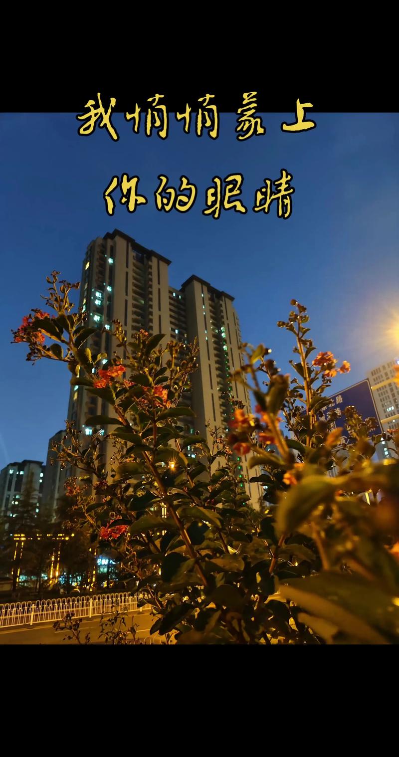 音乐响起,有人悄悄抹眼睛