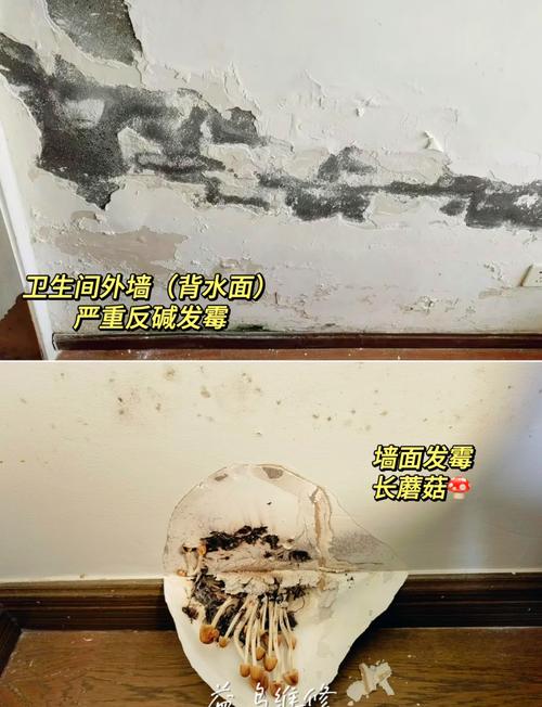 维护与翻新：翘边、发霉，这些头疼事怎么破？
