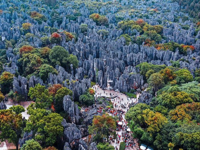 石林喀斯特地貌全景