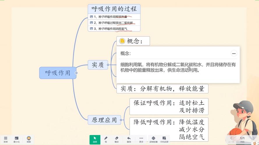 新课标下呼吸作用过程的考察重点变化