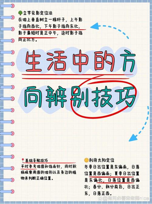 日常怎么选,给你几个可参考的方向