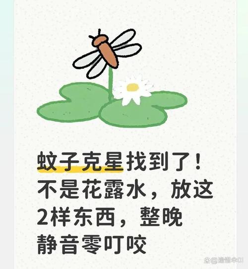 那些不起眼的小东西,全是救命的
