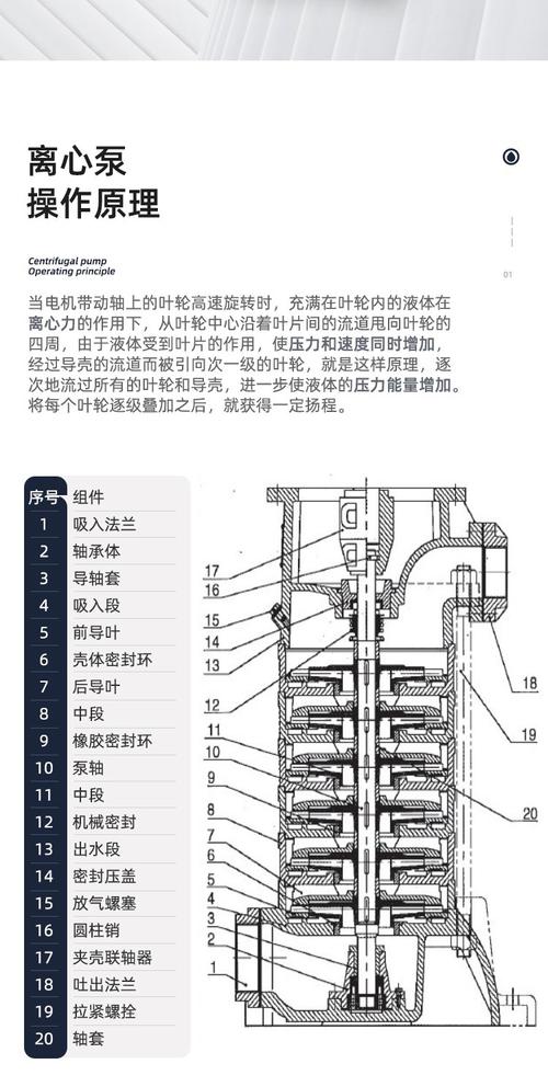 多级离心泵拆解叶轮口环零件图